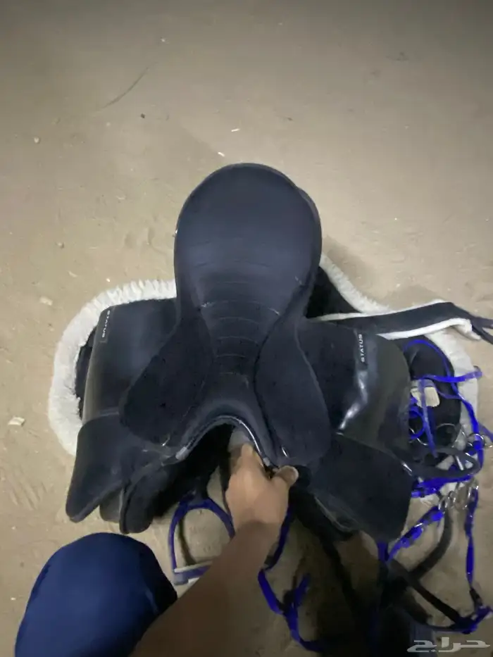 سرج نضيف اخو الجديد 5