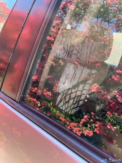 سكويا 2015 وكاله index