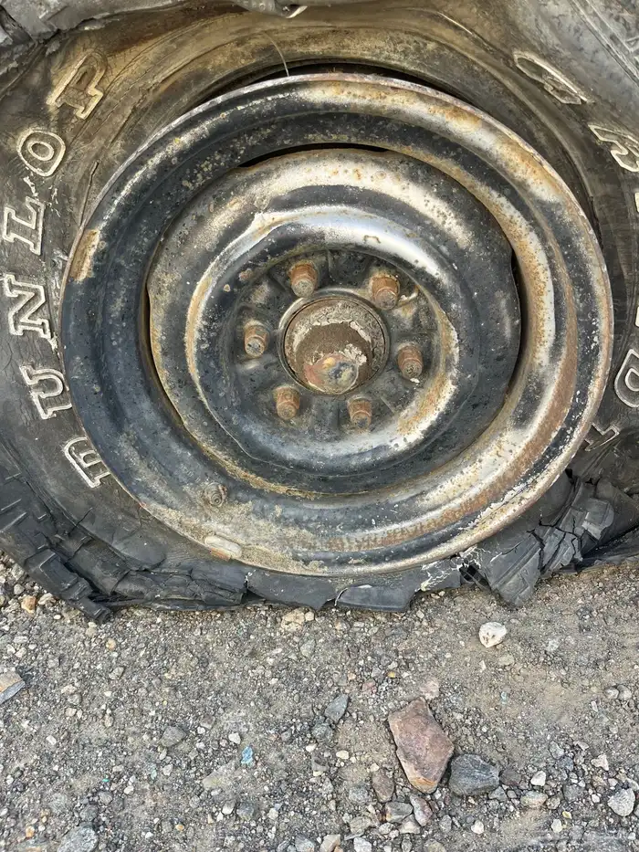 جمس برازيلي 4