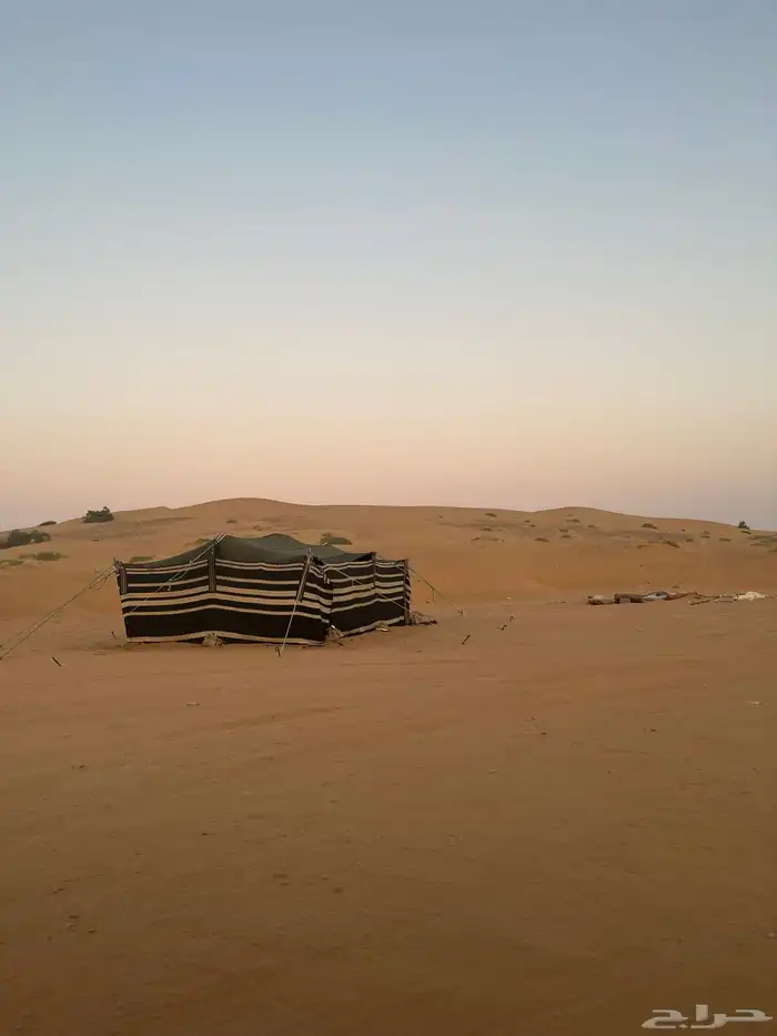 فطبه للبيع 1