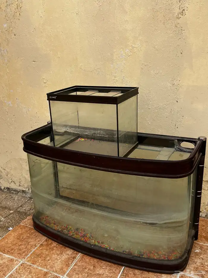 حوض سمك 0