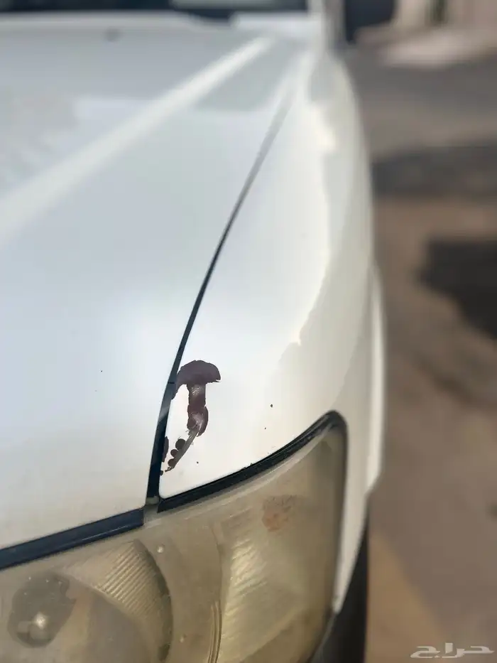 سفاري باترول 5