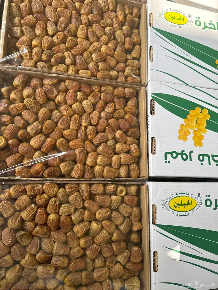 تمر - تمور - صقعي - خلاص - مفتل 3