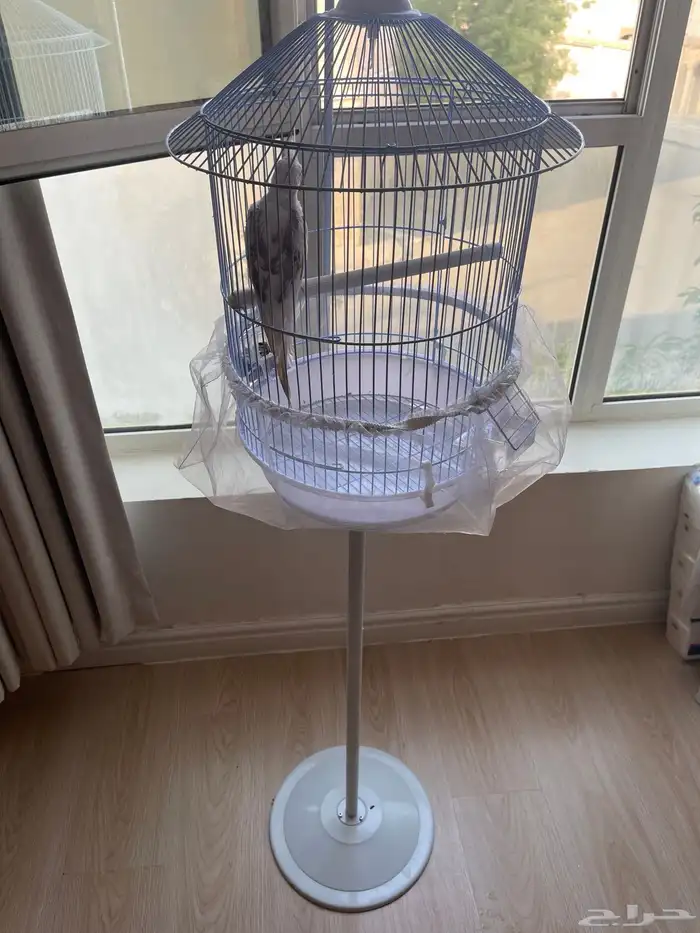 كروان اليف مع جميع ملحقاته 2