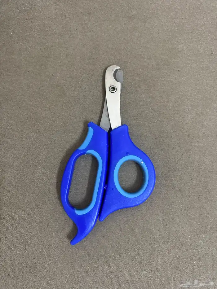 مستلزمات القطط 2