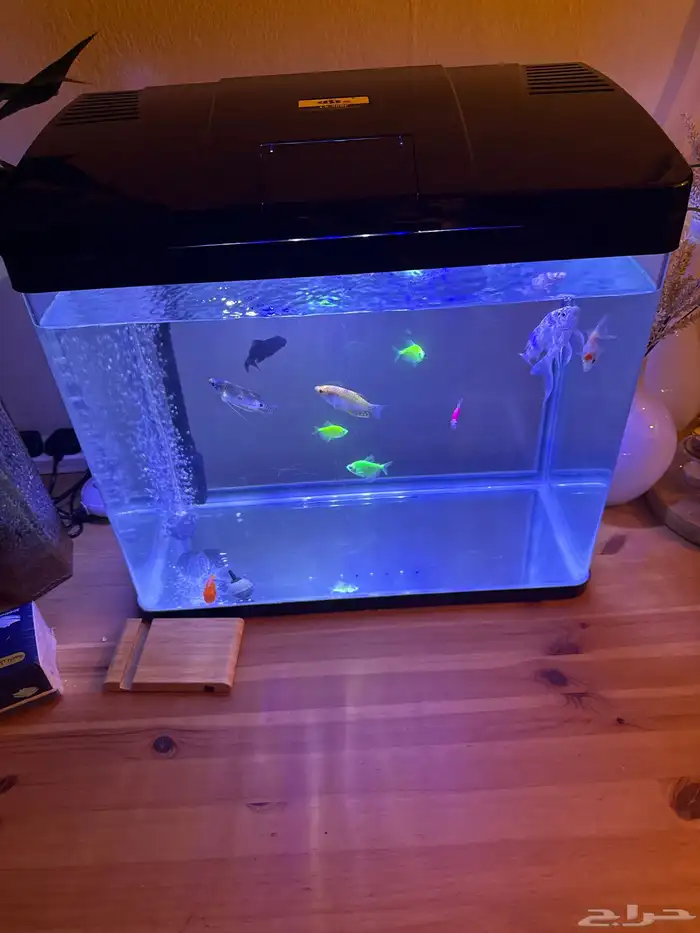 حوض سمك للبيع 0