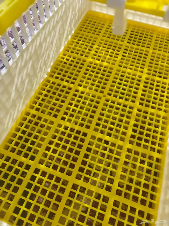 قفص أرانب و حيوانات صغيره للبيع 100 جديد مو مستعمل 1