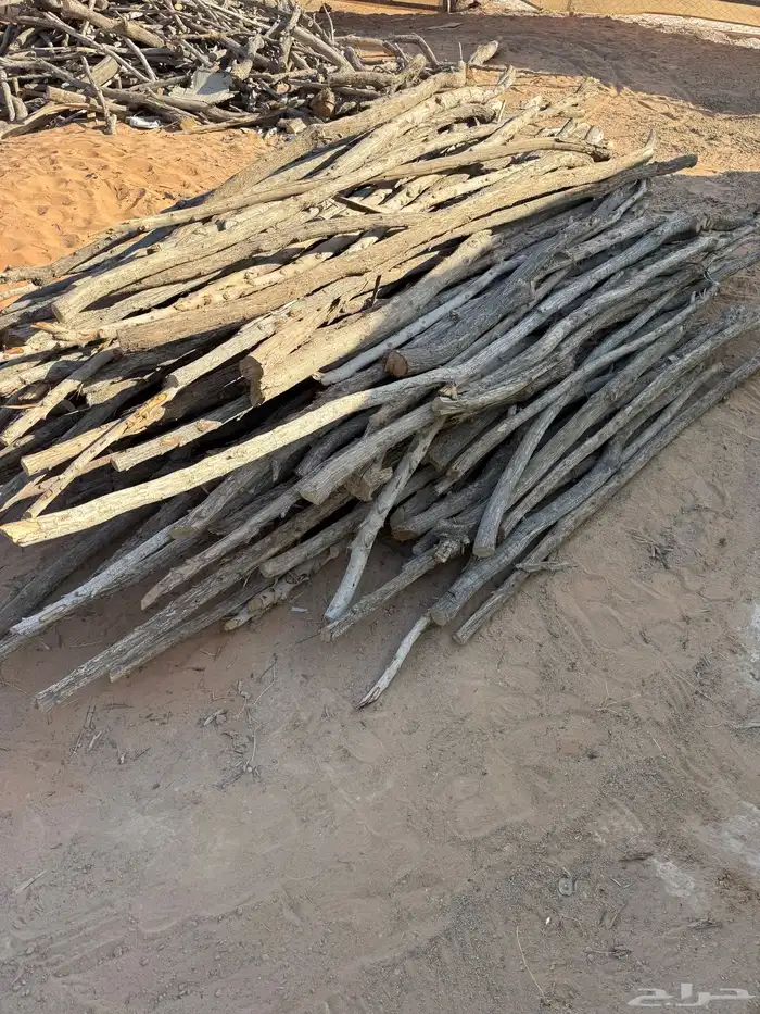 عمدان خشب كرفس 1