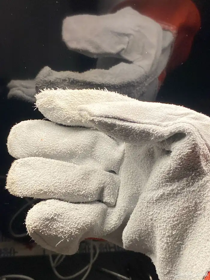 للبيع طير شبوط او باشق شرياص 10