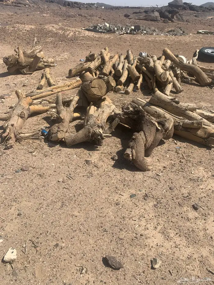 حملتين وحده مقطعه جاهزه والثانيه باقي هايلكس 2026فل كامل 1