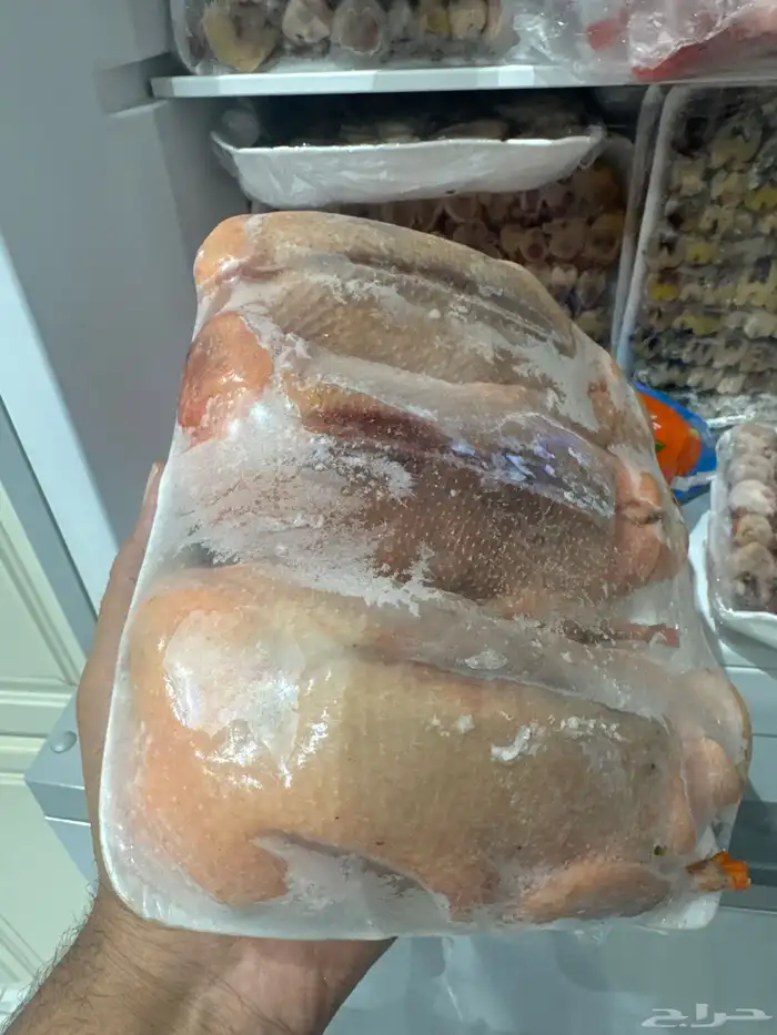 بط ( النحم ) 0