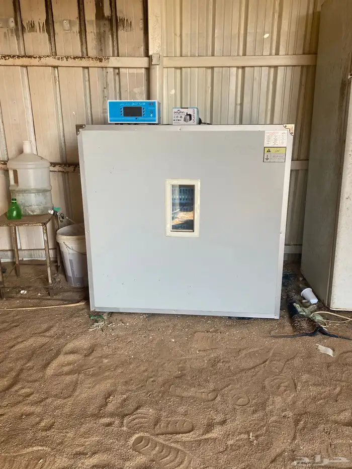 فقاسه دجاج كفو 3