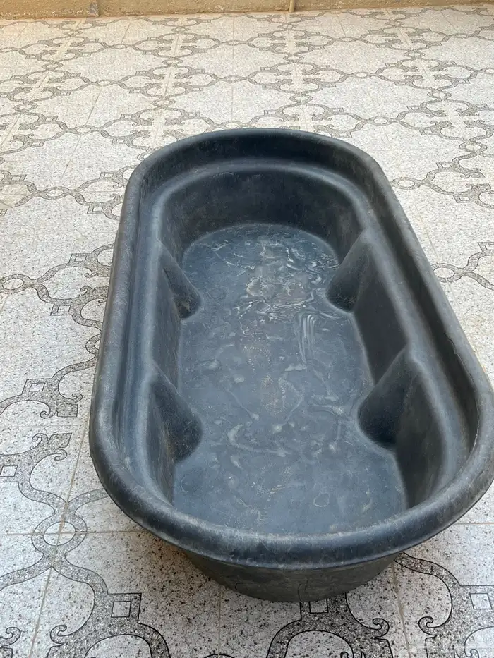 حوض غنم او للإبل 1