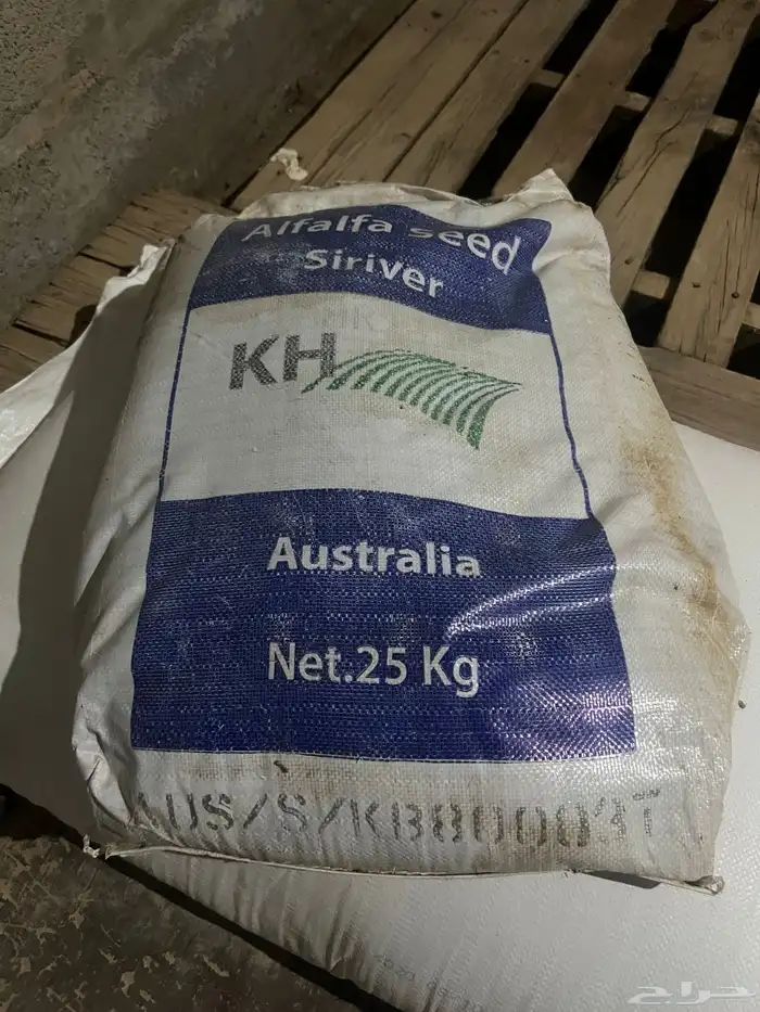 بذار برسيم 0