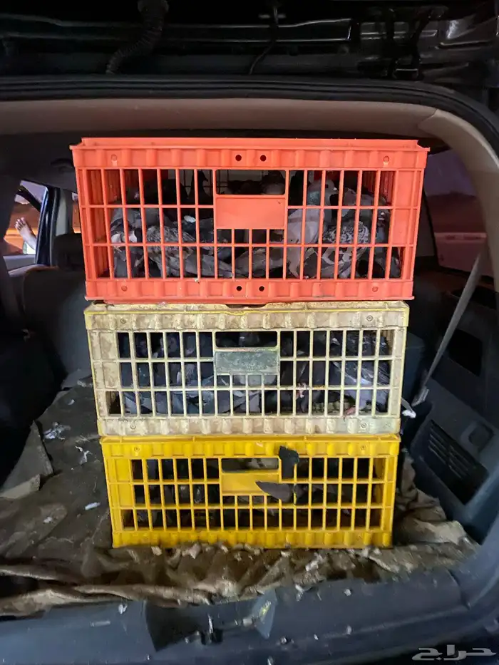 حمام سوادي نظيف للبيع 1