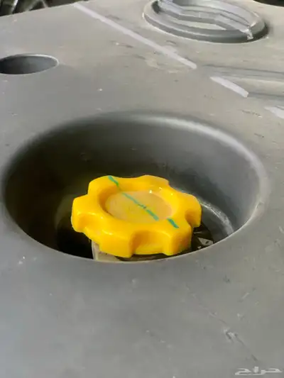 zx Outo بوتغرافي 2024 index