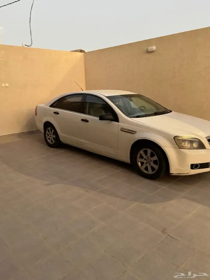 كابرس للبيع 1