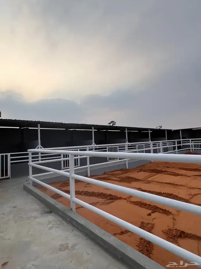 اسطبل جياد الخير (الخير) 3