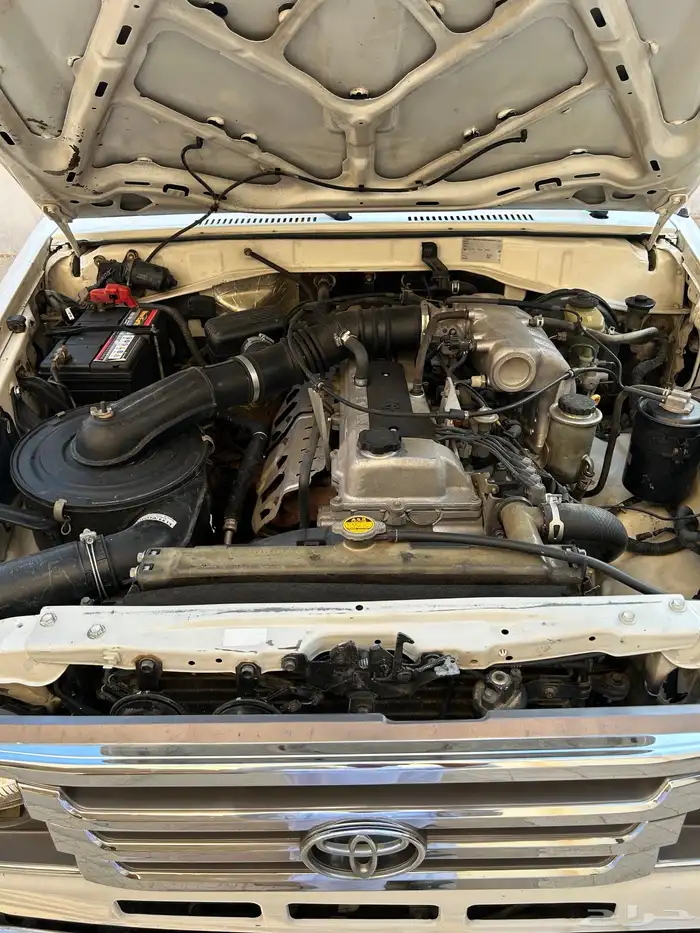 مفحوص مجدد 2