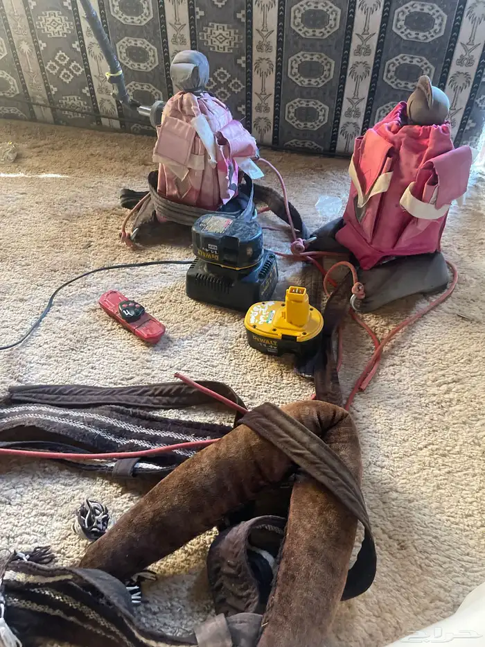 لاهل الهجن جهازين ركاب مع اجهزتها الاسلكيه 1