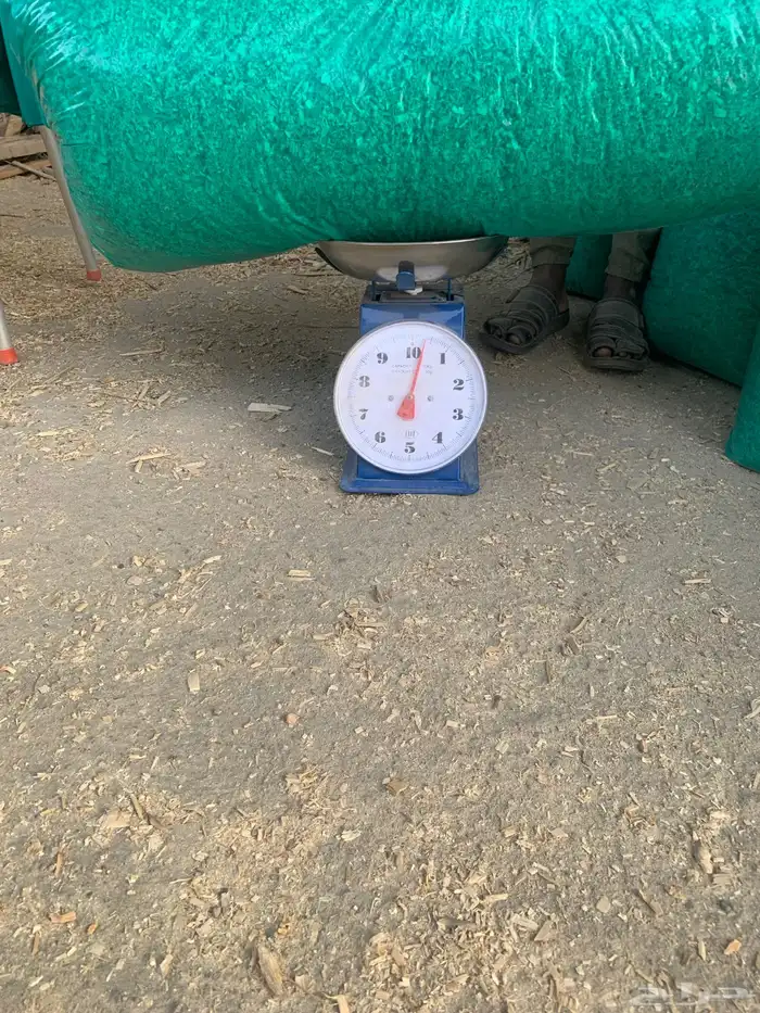 نشاره دواجن للبيع وازن10 كيلو وسعر9 0