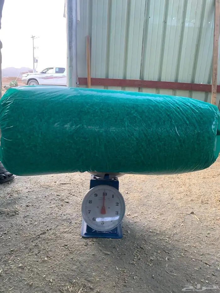 نشاره دواجن للبيع وازن10 كيلو وسعر9 1