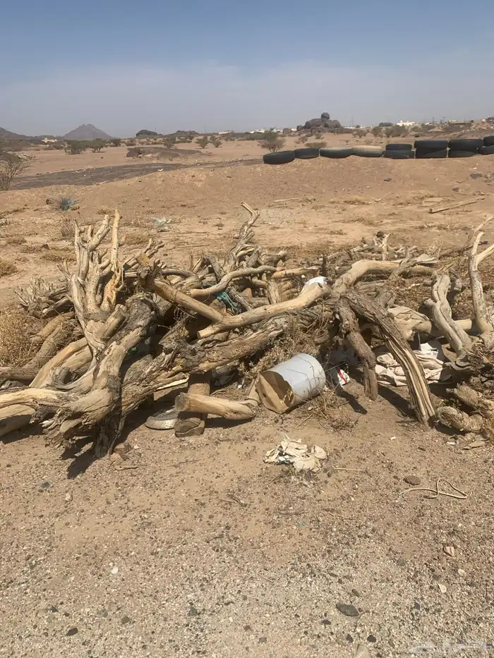 حملتين وحده مقطعه جاهزه والثانيه باقي هايلكس 2026فل كامل 0