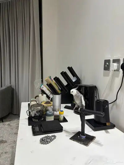 ببغا كوكتيل دوبه ف اول شبابه اتوقع انه ذكر لأنه يغرد و صوت index