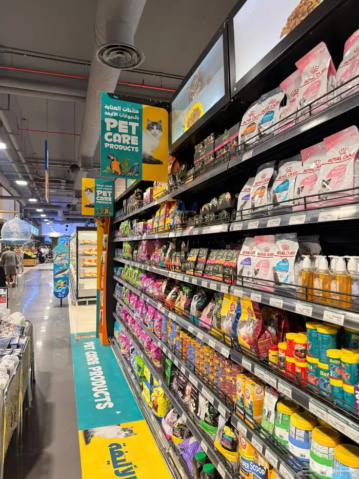 قط هملايا للتبني 3