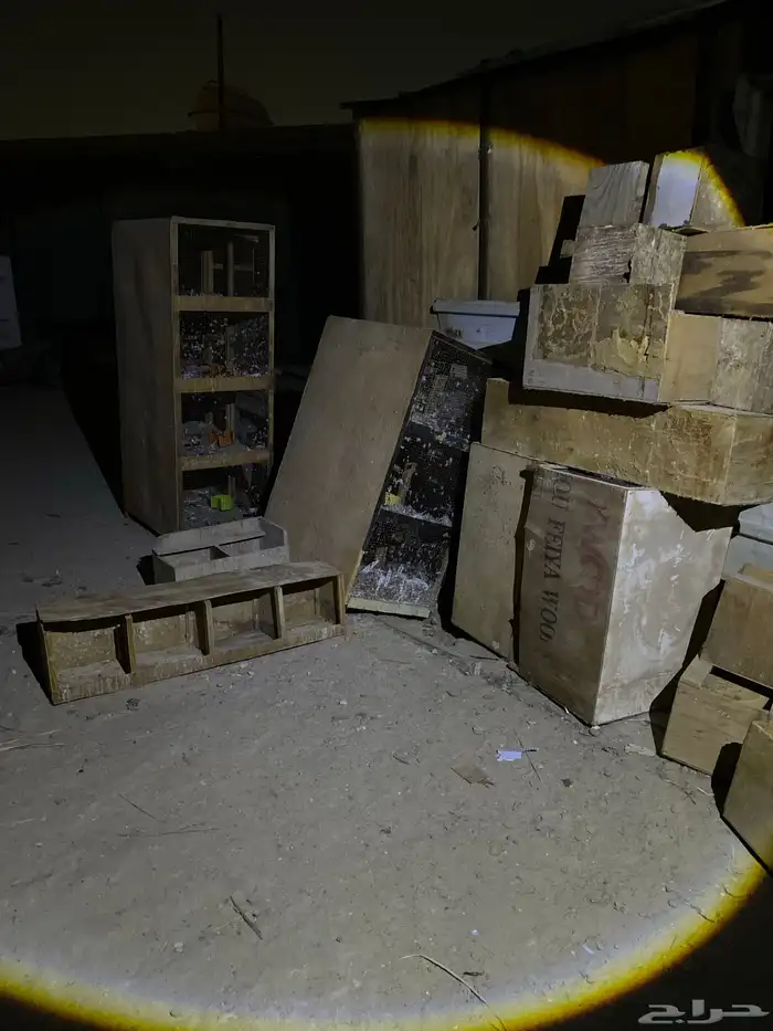 محاكر حمام او دجاج 0