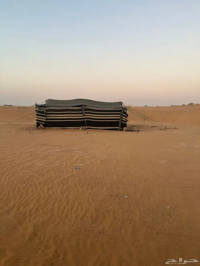 فطبه للبيع 0