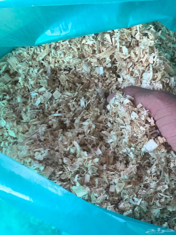 نشاره دواجن للبيع وازن10 كيلو وسعر9 4