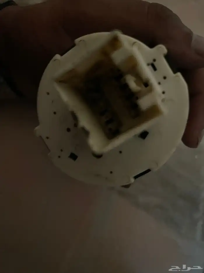 حق النور حق اكسبد شن 2009 2