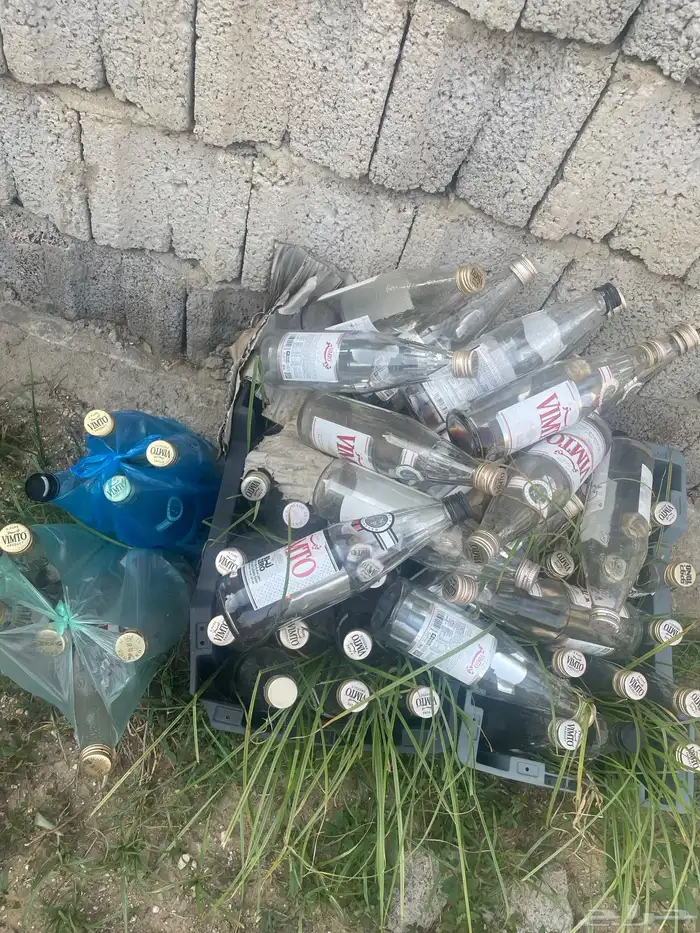 قوارير توت للبيع 0