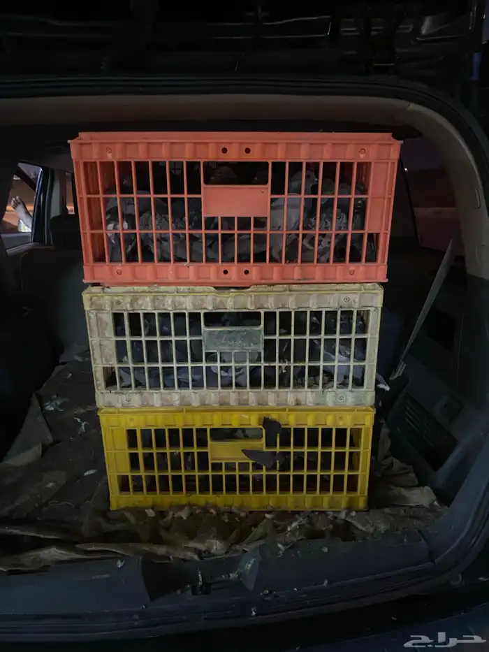 حمام سوادي نظيف للبيع 0