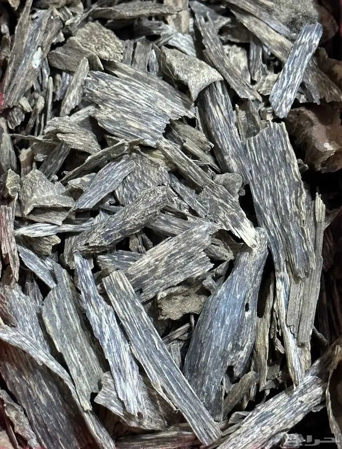 عود كلمنتان بونتيانك دبل سوبر 1