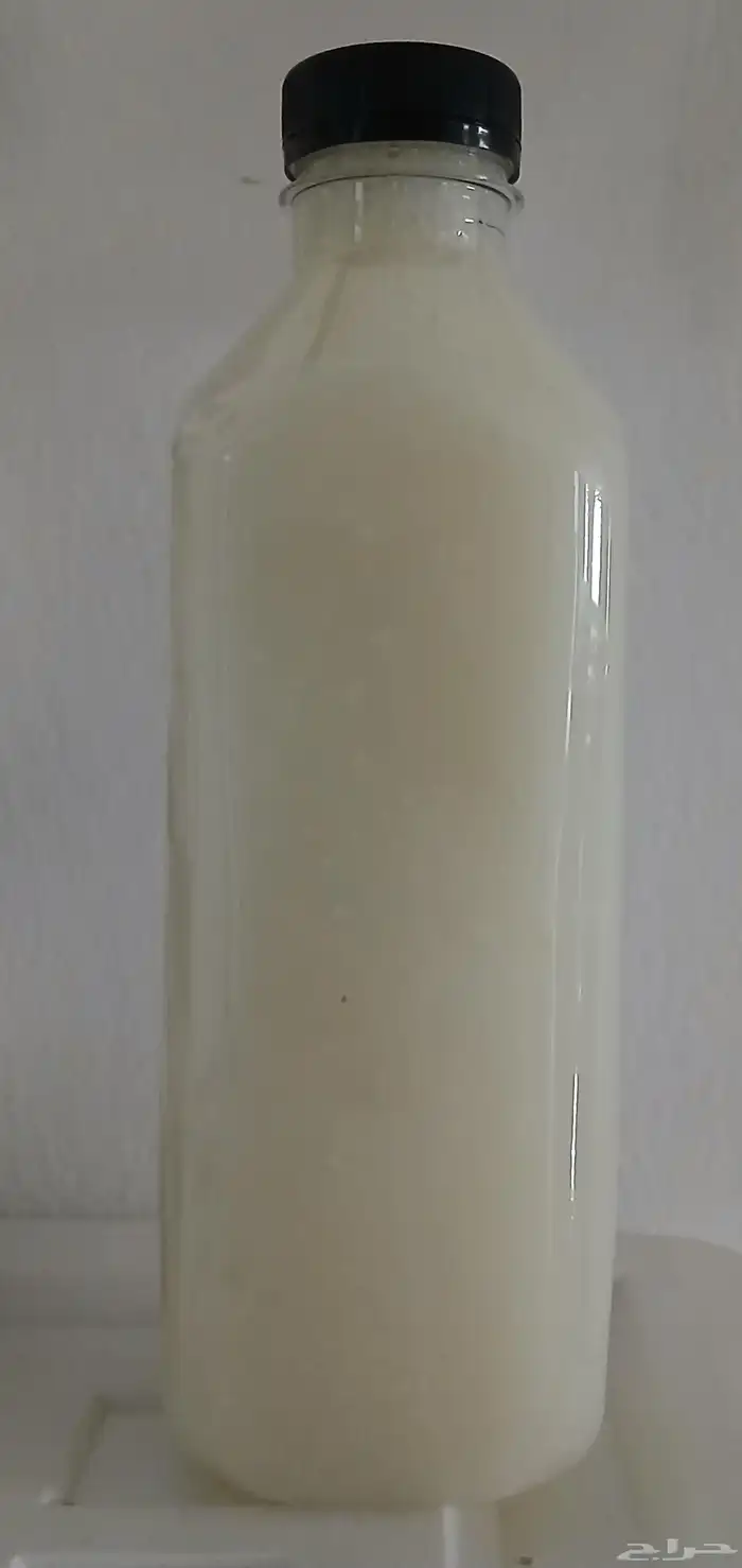 صوصات البطاطس اللذيذة خبرة 30عاما 0