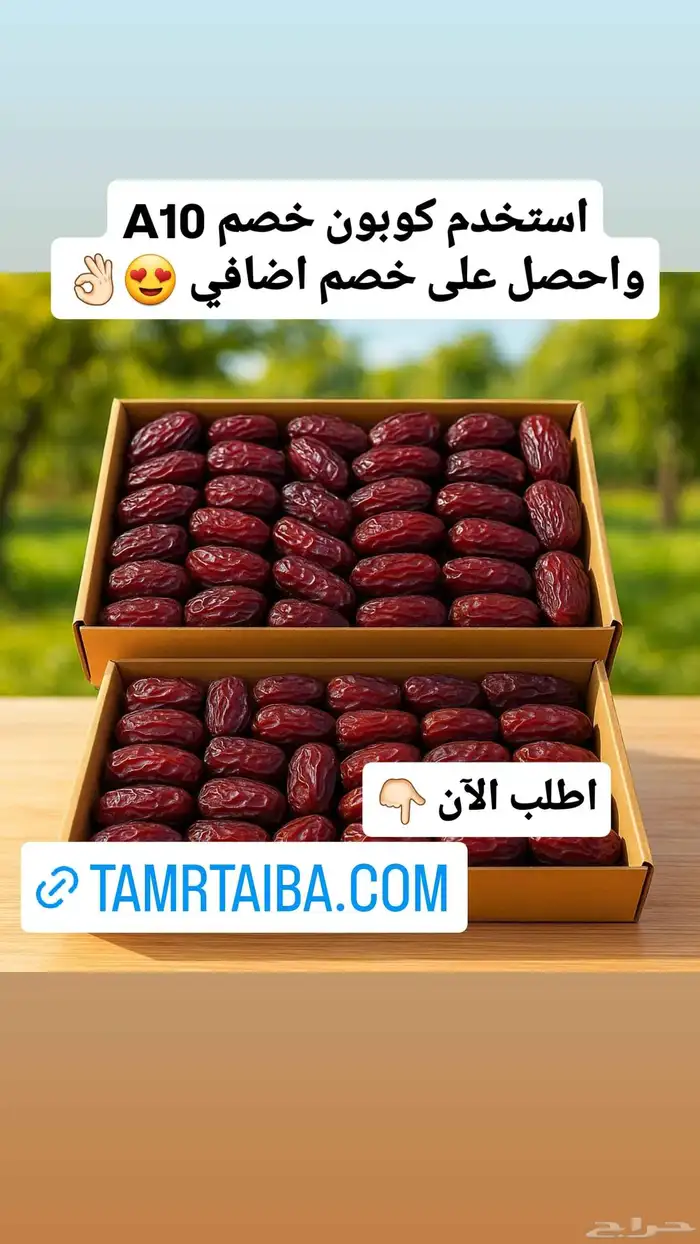 تمور المدينة المنورة شفاء وبركة 4