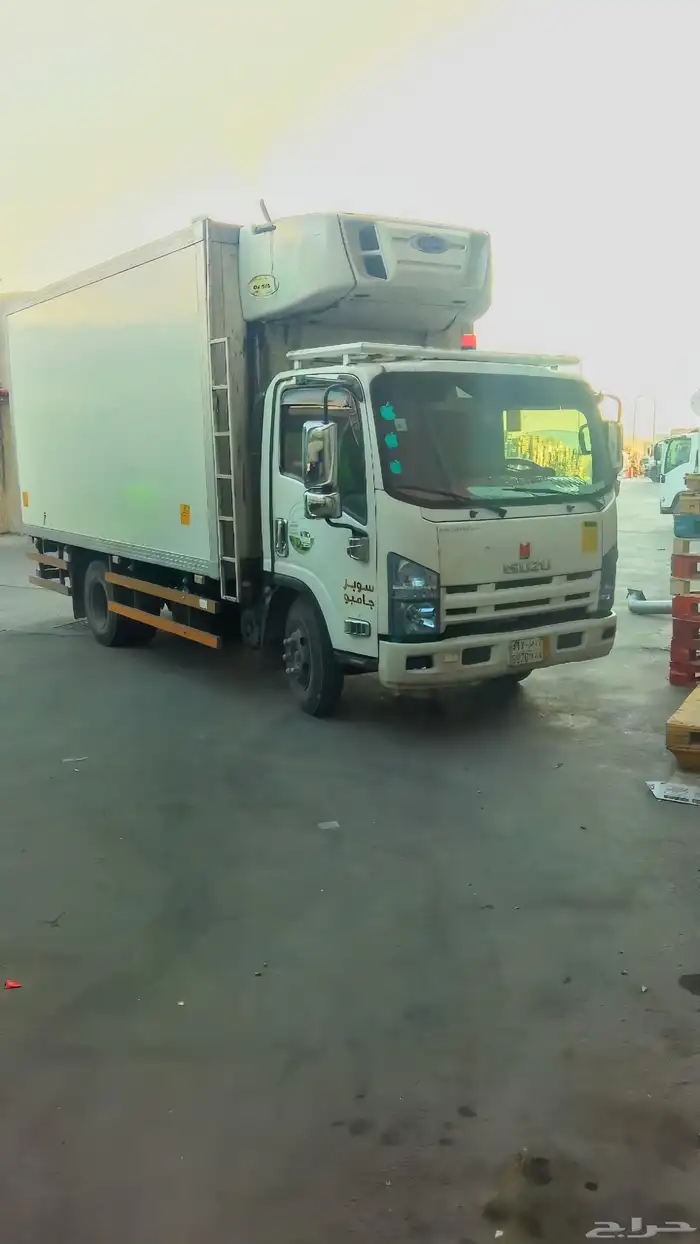 دينا ثلاجه تبريد تجميد لايجار 0