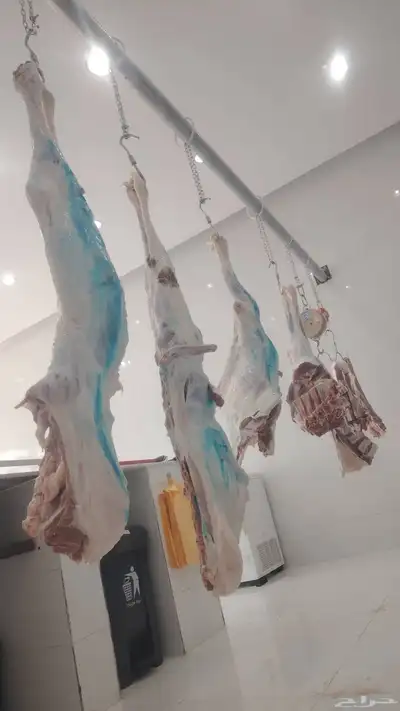 محمد جزار من مصر مقيم بالسعودية ببحث عن أي عمل في اي ملحمه index