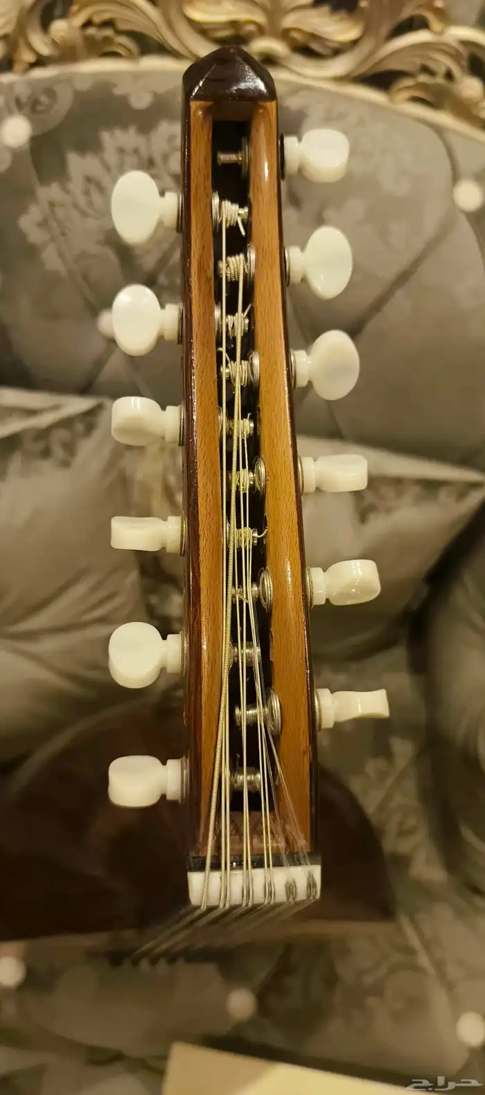 عود نظيف جدا 2