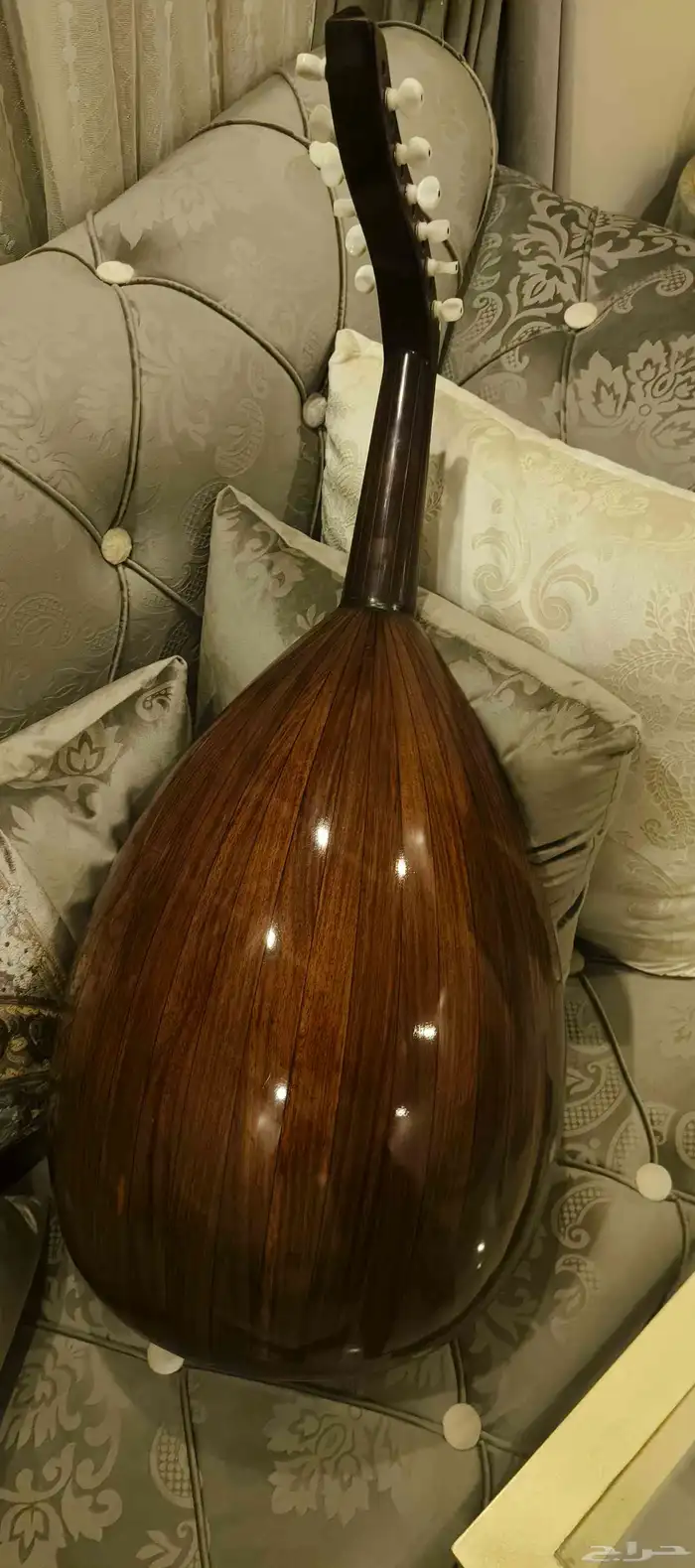 عود نظيف جدا 1