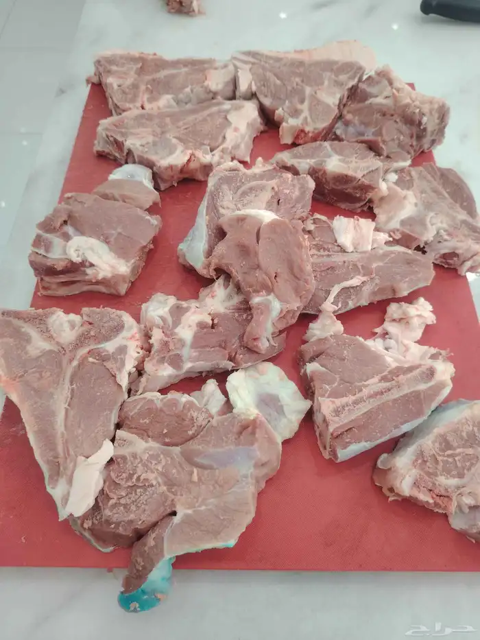 محمد جزار من مصر مقيم بالسعودية ببحث عن أي عمل في اي ملحمه 3