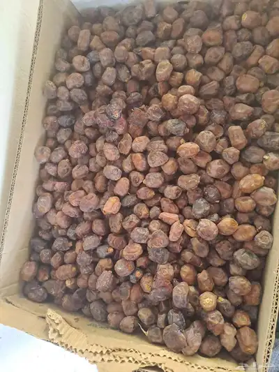 تمر شهل عجين أو للحلال index