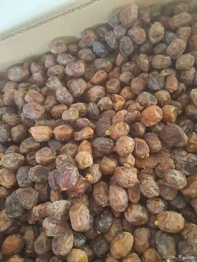 تمر شهل عجين أو للحلال index