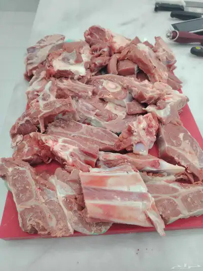 محمد جزار من مصر مقيم بالسعودية ببحث عن أي عمل في اي ملحمه index