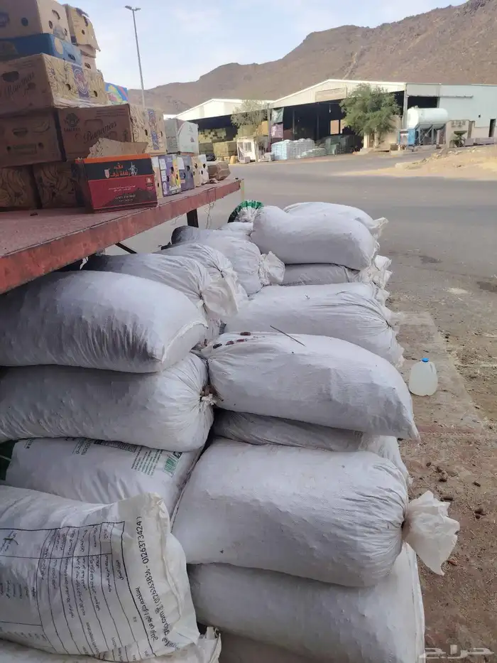 تمر حلال في المدينة 1