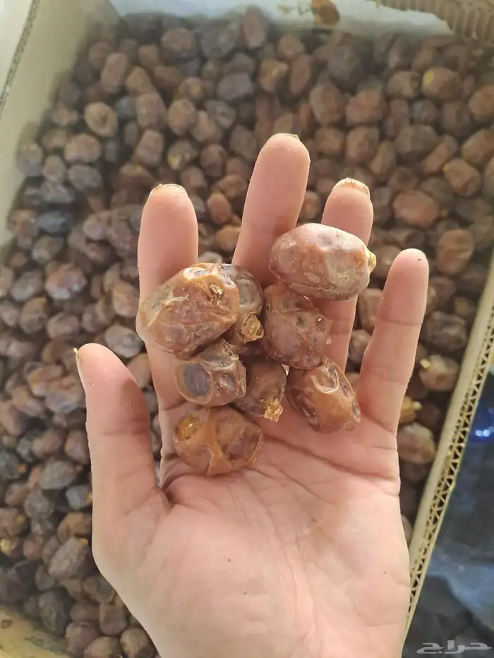 تمر شهل عجين أو للحلال 1