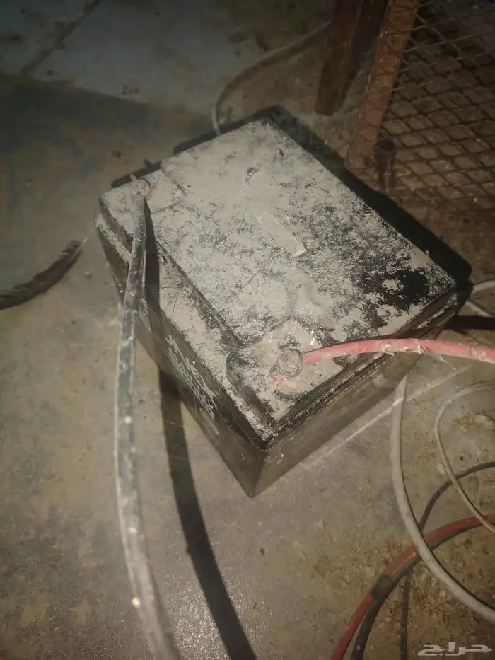 القطيف العواميه 5