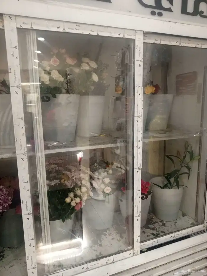 نشتي تشتري ثلاجه ورد الي عنده ببيشه يتواصل معي 0